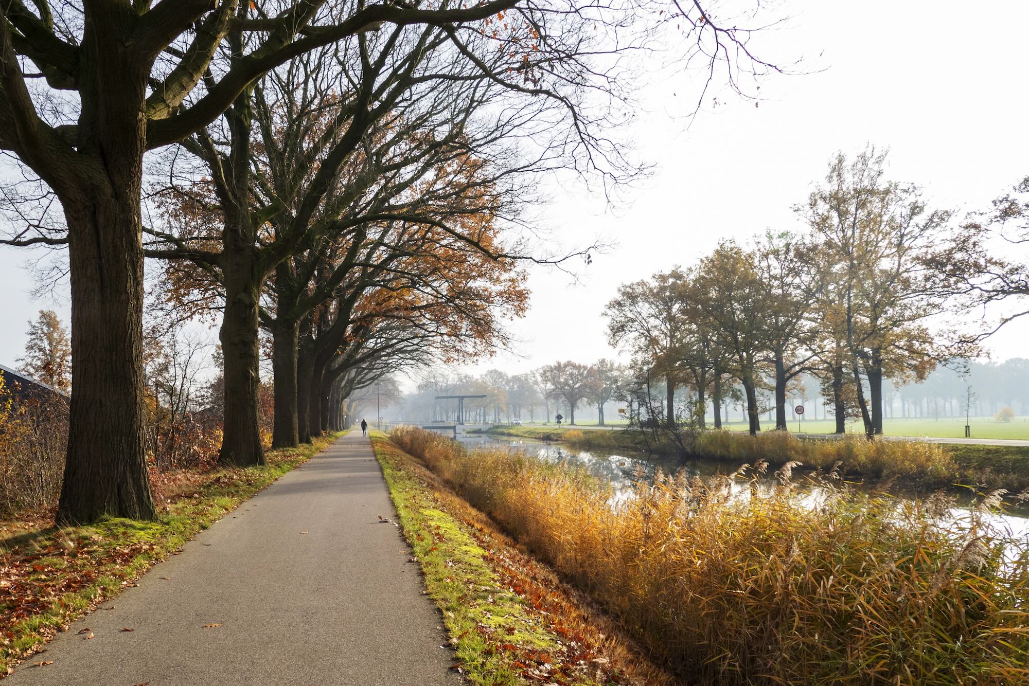 Rural landscape in the Netherlands Apeldoorns kanaal