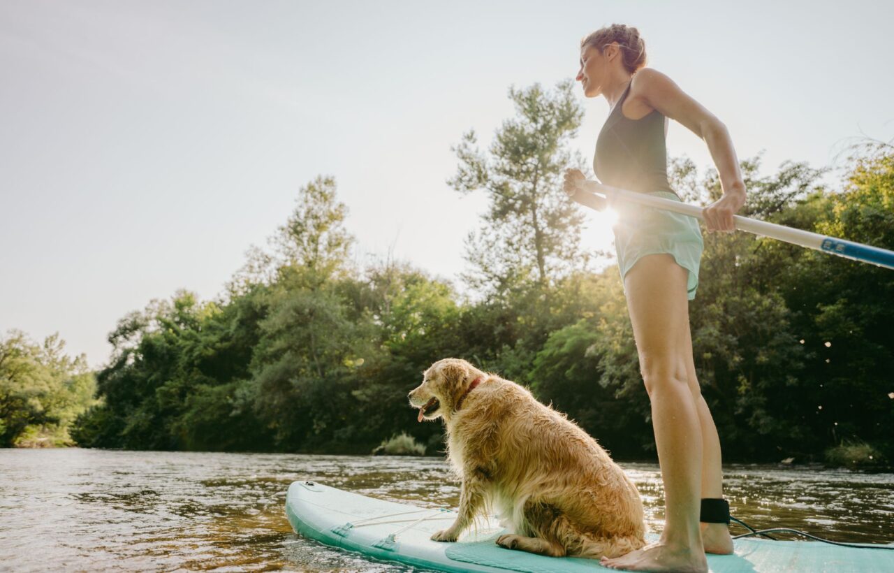 Caroussel 2 Suppen met hond