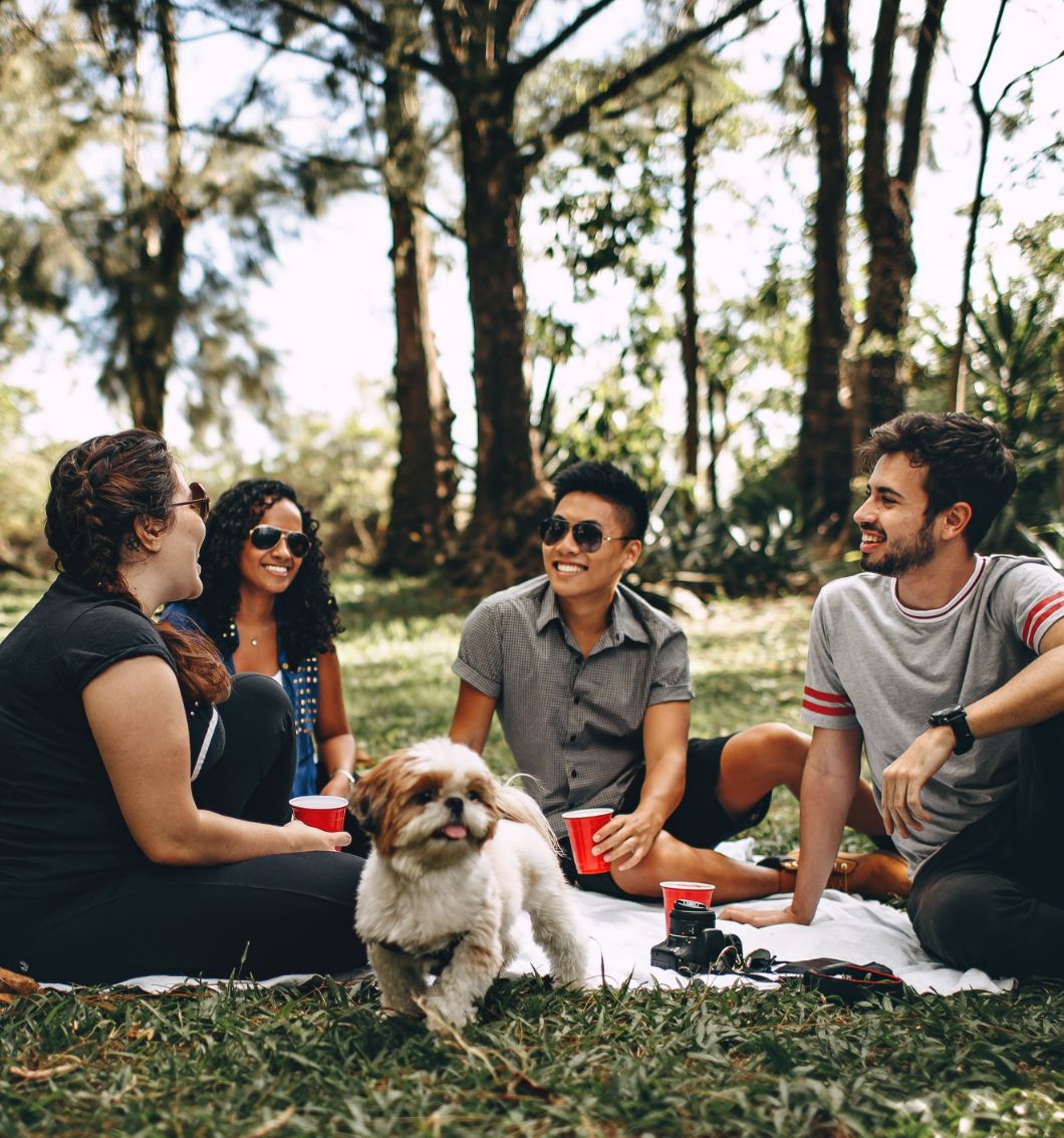 Gezelligheid in het park Vrienden in het park
